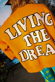 Living the Dream Boxy Knit Sweater