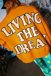 Living the Dream Boxy Knit Sweater