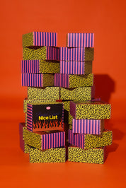 Nice List PR Box (Includes $50 GIFT CARD)