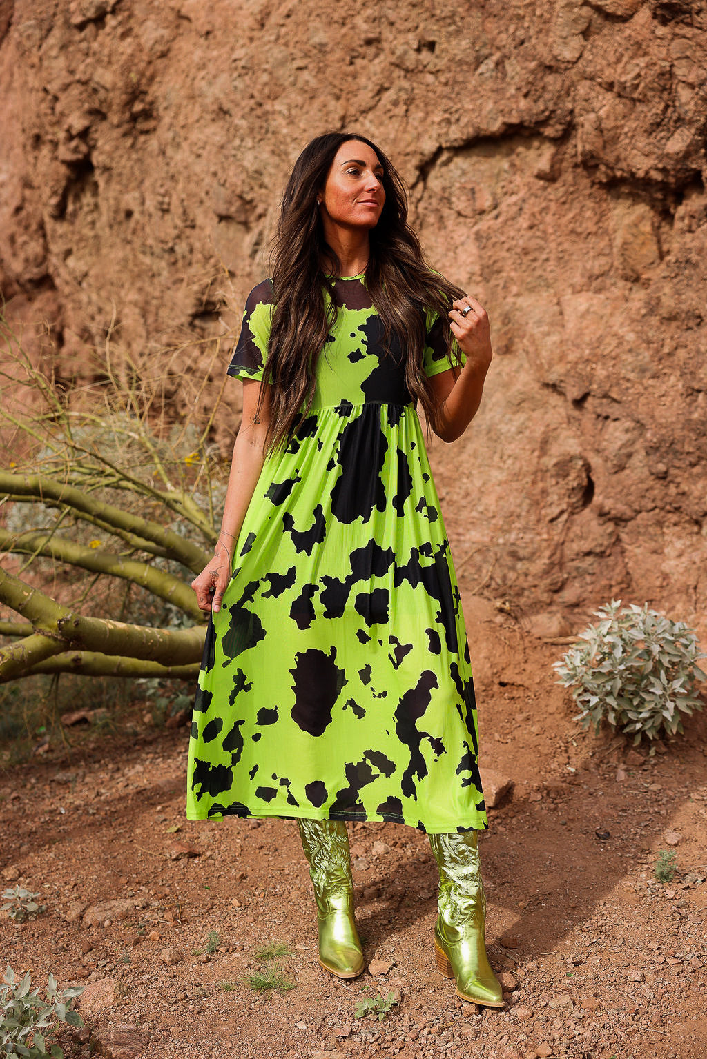 Not in the Moo'd Short Sleeve Mesh Dress