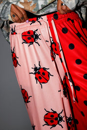 Pink pants with ladybug pattern and red pants with black polka dots. close up frontal view