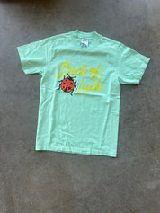 Seafoam green tee with Best of Luck text and a ladybug on a concrete surface