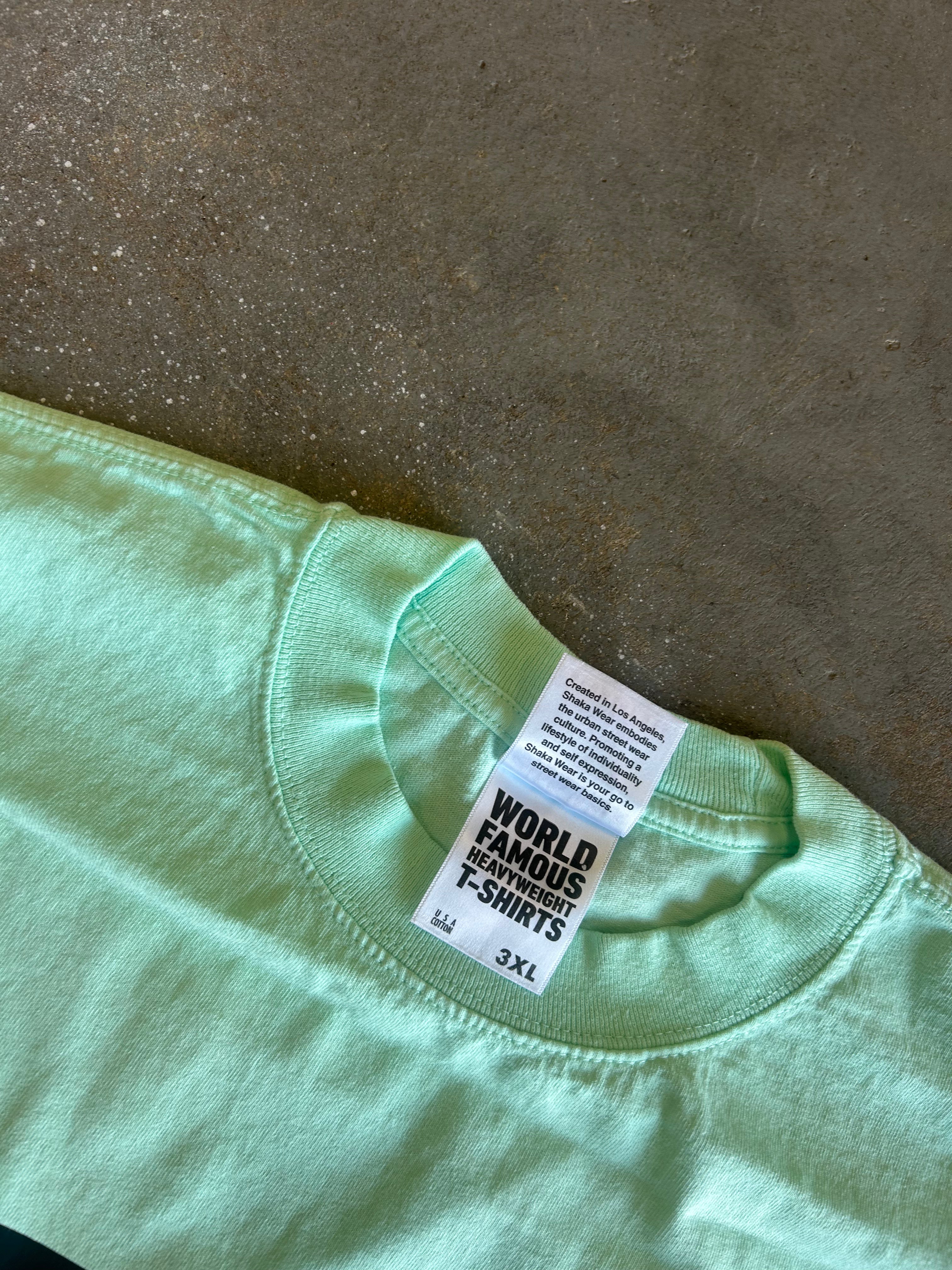 A close-up of a mint green t-shirt laid flat on a textured concrete floor, showing the inner neck label which reads 'WORLD FAMOUS EARTHWEAR T-SHIRTS'.