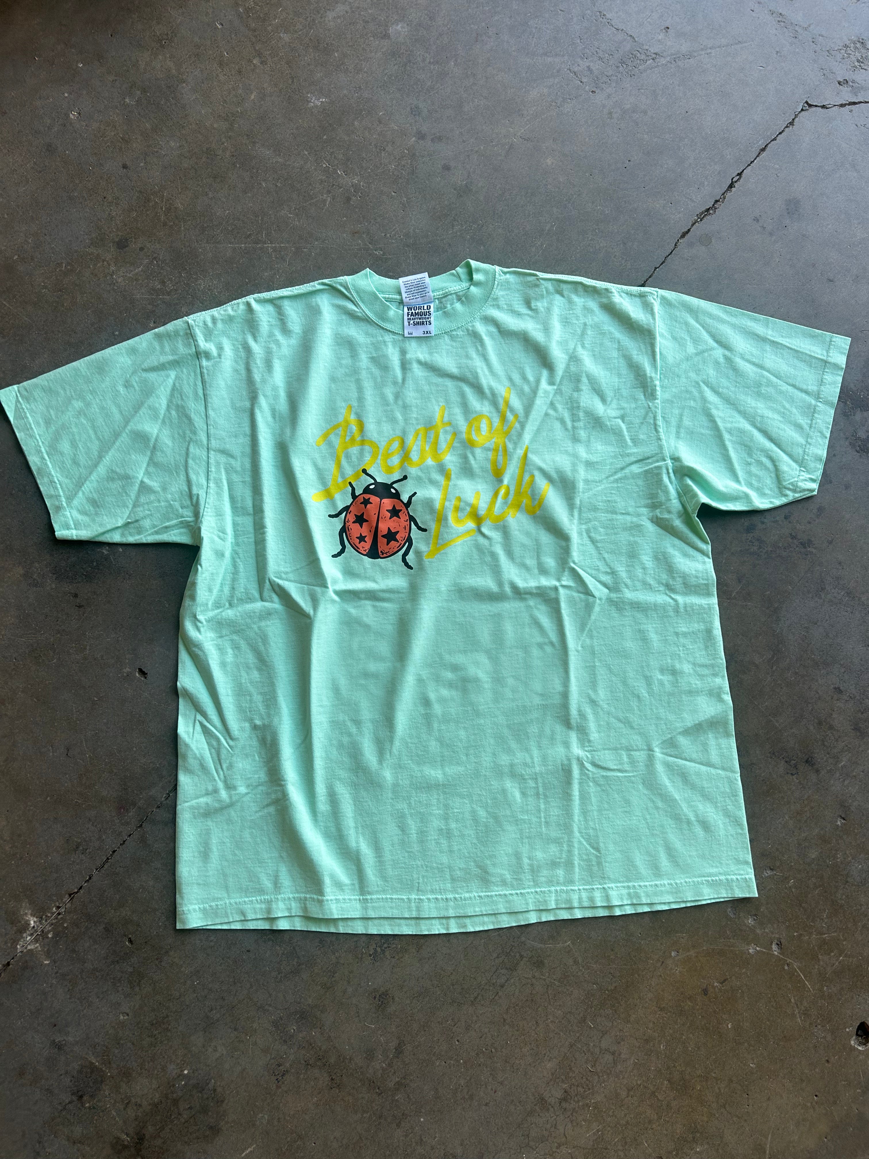 A mint green short-sleeve t-shirt laid flat on a concrete floor, featuring a graphic print of a red ladybug and the yellow text 'Great Luck'.
