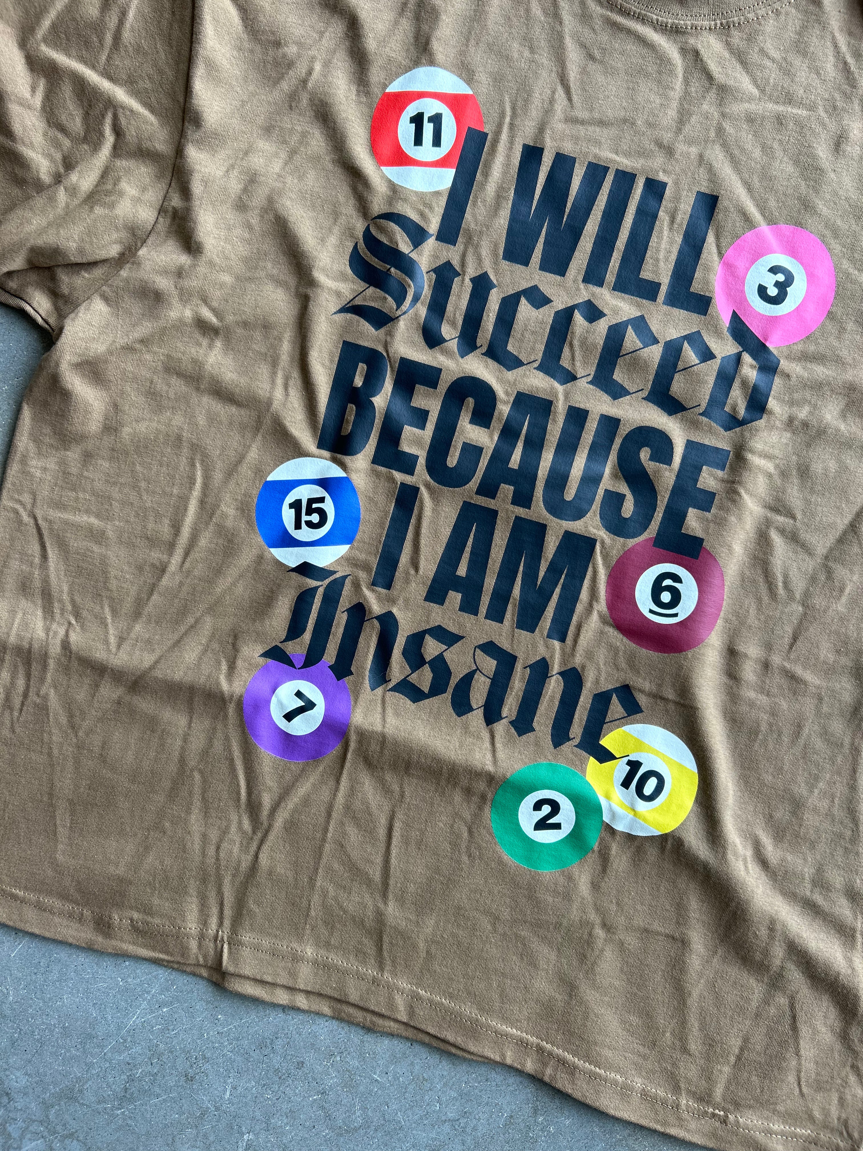 A close-up of a tan graphic t-shirt featuring the text 'I WILL Succeed BECAUSE I AM Insane' in dark blue gothic lettering, surrounded by colorful billiard ball graphics with numbers.